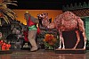 9035.jpg